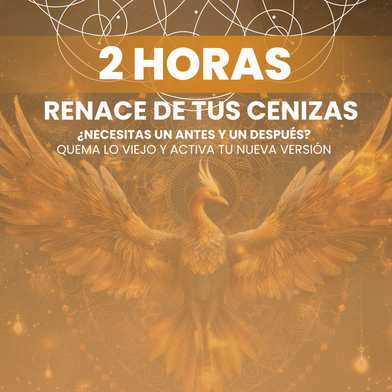 Consultas de Tarot Astrologia Videntes Especialistas Premium