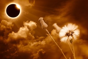 Los eclipses y la astrología - Consulta Maestros del destino